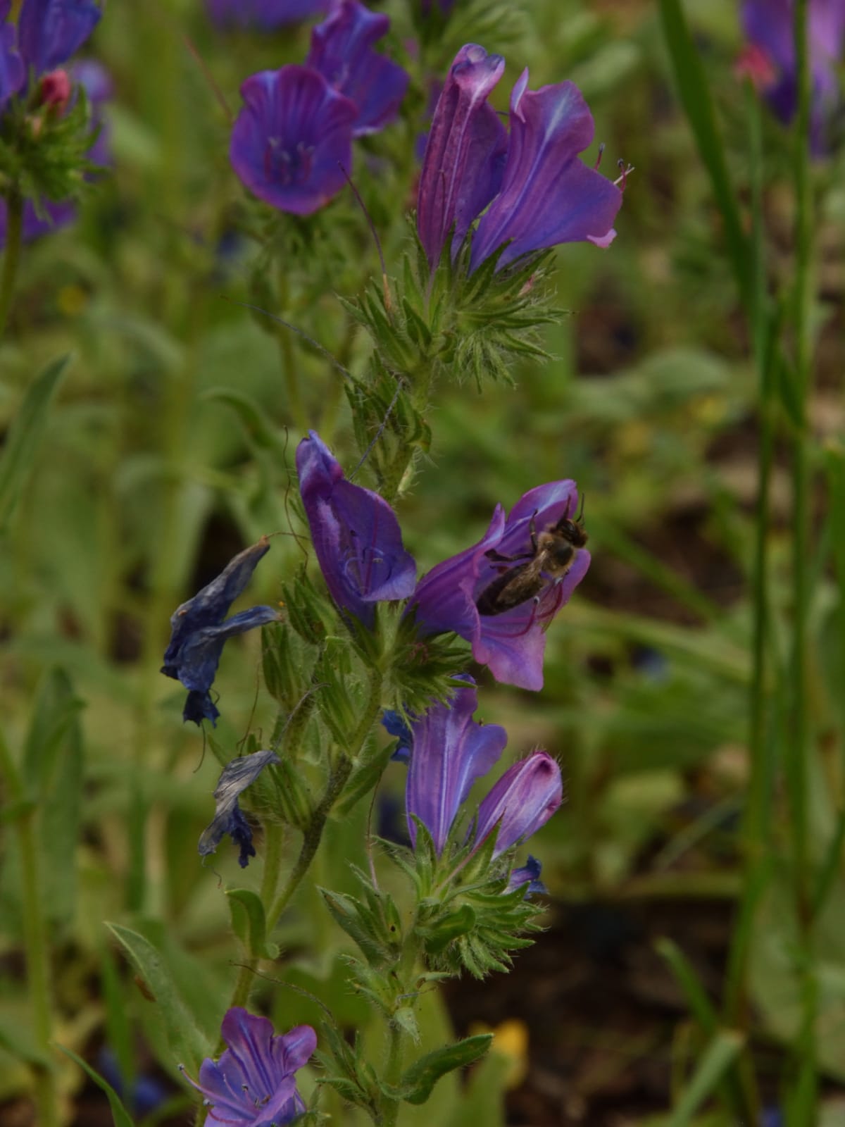 Third Place - James Martin