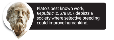 Did You Know fact: Plato&rsquo;s best known work, Republic (c. 378 BC), depicts a society where selective breeding could improve humankind.