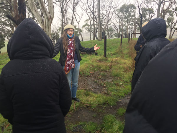 Ecologist Joan Gibbs talking to students about regeneration after the Cudlee Creek fires.