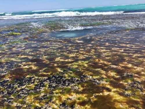 Looking out at the Great Australian Bight.