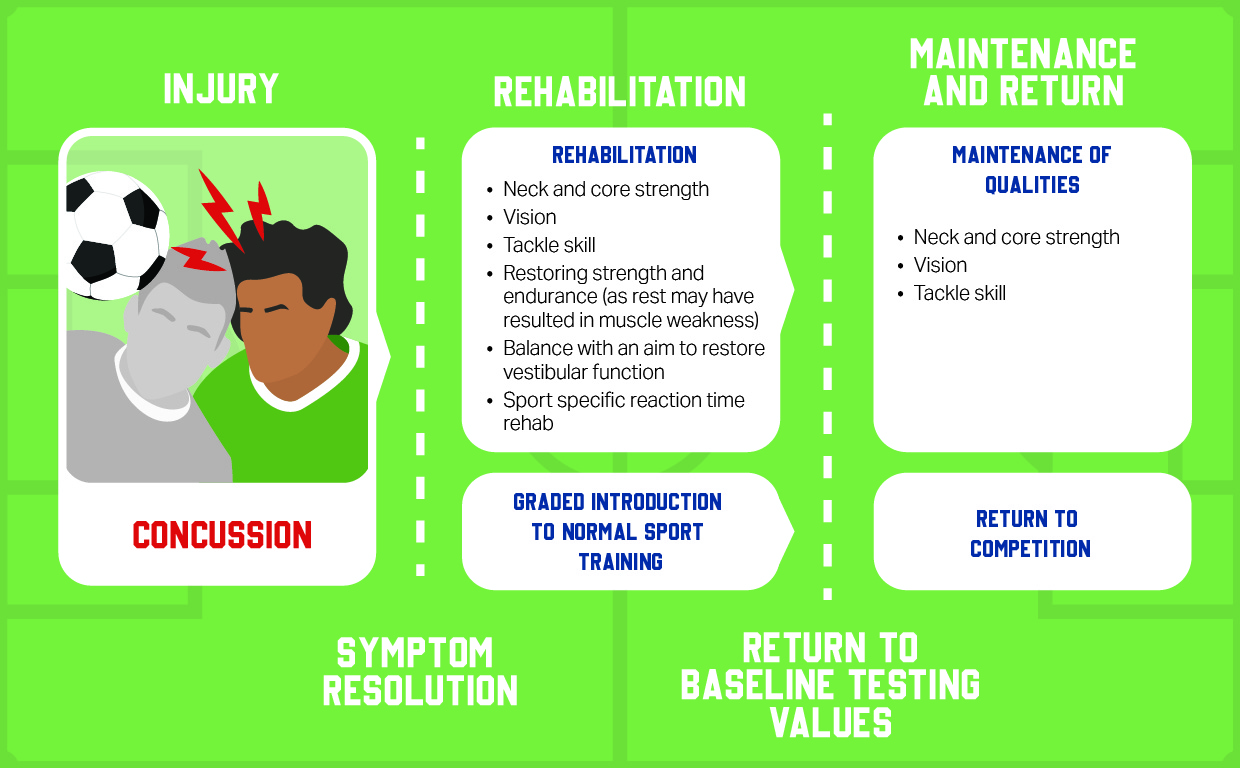 Concussion infographic