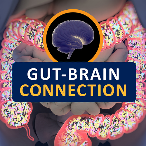 Gut brain connection