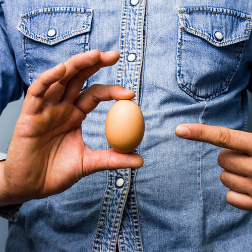 Male fertility_500p.jpg