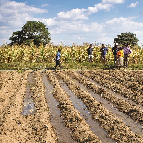 Irrigation in a newly cultivated field in Zimbabwe. Photo credit: Andr&eacute; F. van Rooyen.  