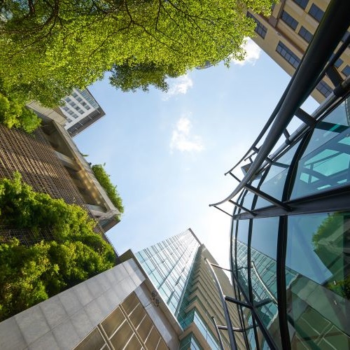 Green office buildings and trees 