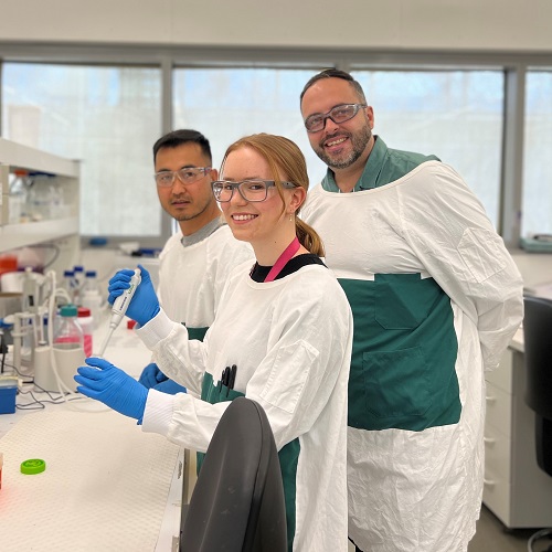 Wound dressing_500x500.jpg