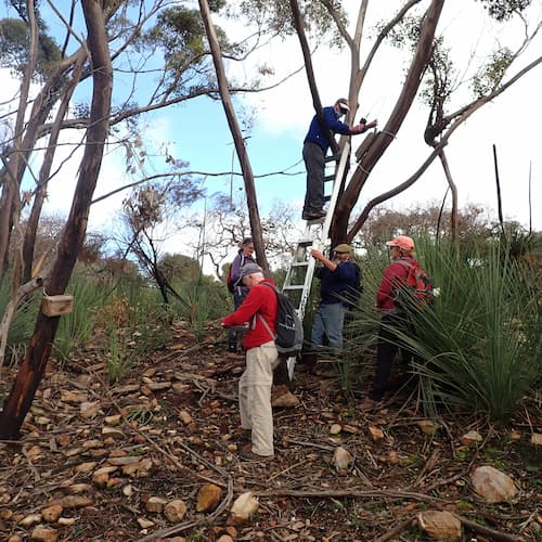 Kangaroo Island volunteers_500x500.JPG