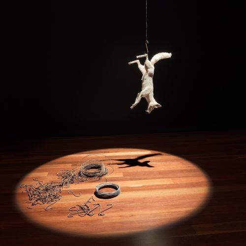 Photo 3 Samstag_Hamilton_Photo Grant Hancock500x500.jpg