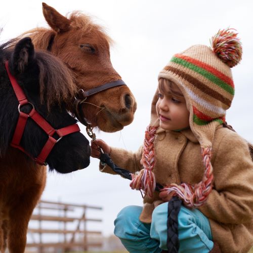 Young girl patting two horses