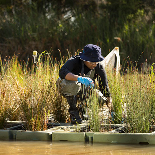 Floating wetlands
