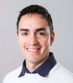 Dr. Dr Fernando Marmolejo-Ramos