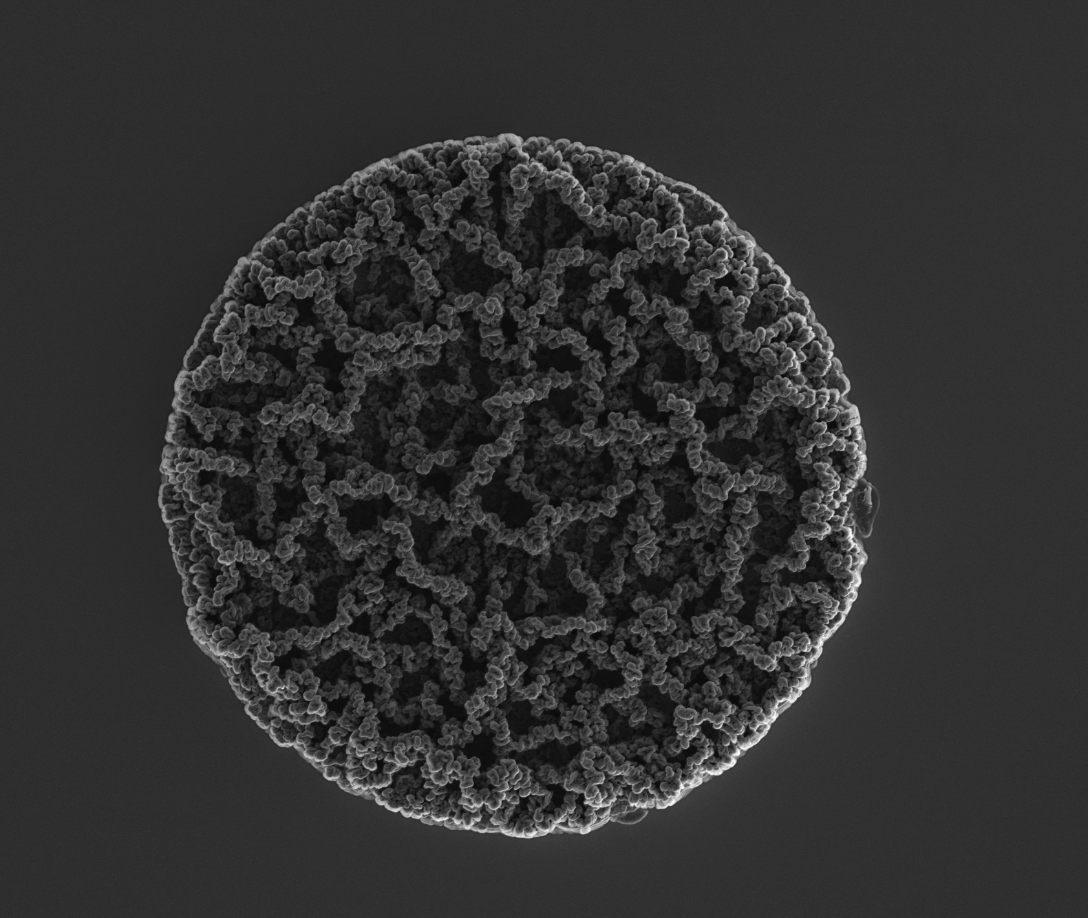 2018 - Finalist - Gold nano-guts served on a micro-silica plate - Dr Eva Alvarez de Eulate, Future Industries Institute