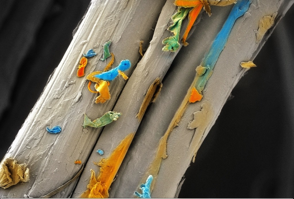 2019 - People's Choice - Fibre-Based Microfluidics - Azadeh Nilghaz, Future Industries Institute