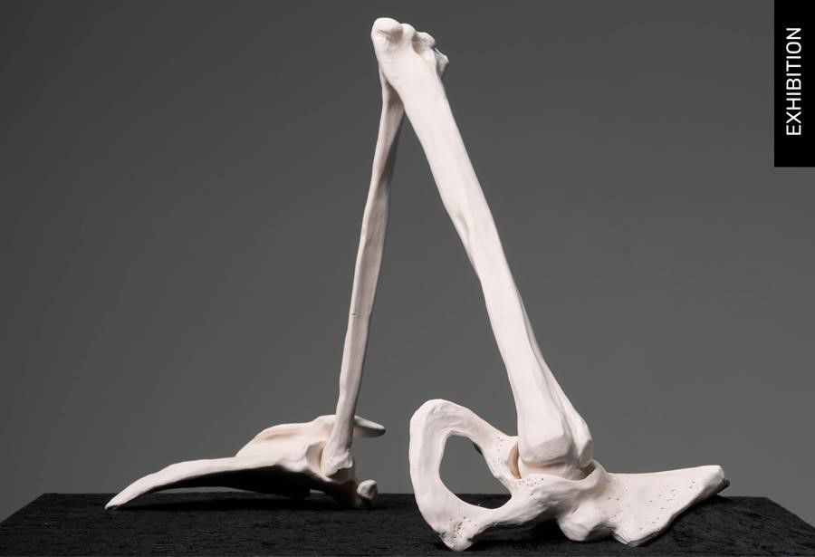 HA_Graduate Exhibition 2024.png