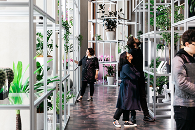 MOD. Hedonism exhibition