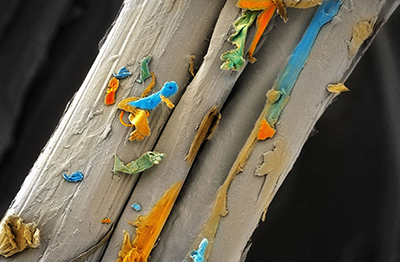 An image of a single cotton fibre with the natural wax impurities on the fibre wall, by Azadeh Nilghaz from the Future Industries Institute, won the People&rsquo;s Choice Award in the 2019 Images of Research competition.