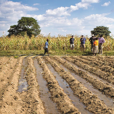 Irrigation in a newly cultivated field in Zimbabwe. Photo by Andr&eacute; F. van Rooyen.  