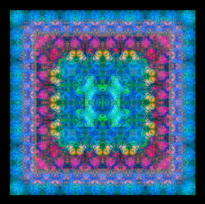 Magic carpet ride by 2021 finalist Dr Ian Johnson. Dr Johnson&rsquo;s image is of prostate cancer organoid, cultured to assist with the development of patient specific cancer treatments.