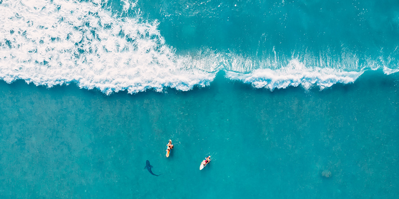 Surfers unaware of shark nearby