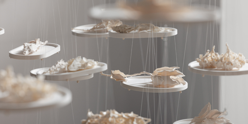 Tieyuan Zhou_Echos of Fragments_Photographed by James Field